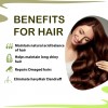 Doviko Aloe Vera and Amla Bhringraj Shampoo - Pack of 2 - Benefits