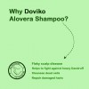 Doviko Aloe Vera Shampoo - Pack of 1 - Reasons