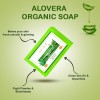 Doviko Aloe Vera Soap Combo - Organic - Pack of 3 (375gm)