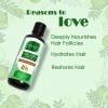 Doviko Amla & Bhringraj Hair Oil - Pack of 2 (420ML) - Reasons