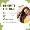 Doviko Amla & Bhringraj Shampoo - Pack of 1 (210 ML) - Benefits