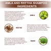 Doviko Natural Amla & Reetha Shampoo - Pack of 2 (420ML) - Ingredients