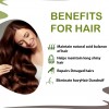 Doviko Natural Amla & Reetha Shampoo - Pack of 1 (210 ML) - Benefits